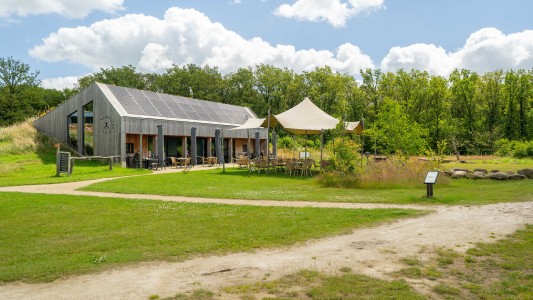 B&B De Norger Drift