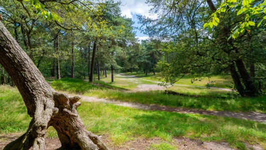 B&B De Norger Drift