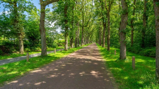B&B De Norger Drift
